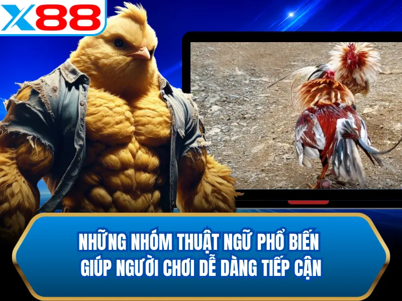 Những nhóm thuật ngữ phổ biến giúp người chơi dễ dàng tiếp cận Những nhóm thuật ngữ phổ biến giúp người chơi dễ dàng tiếp cận